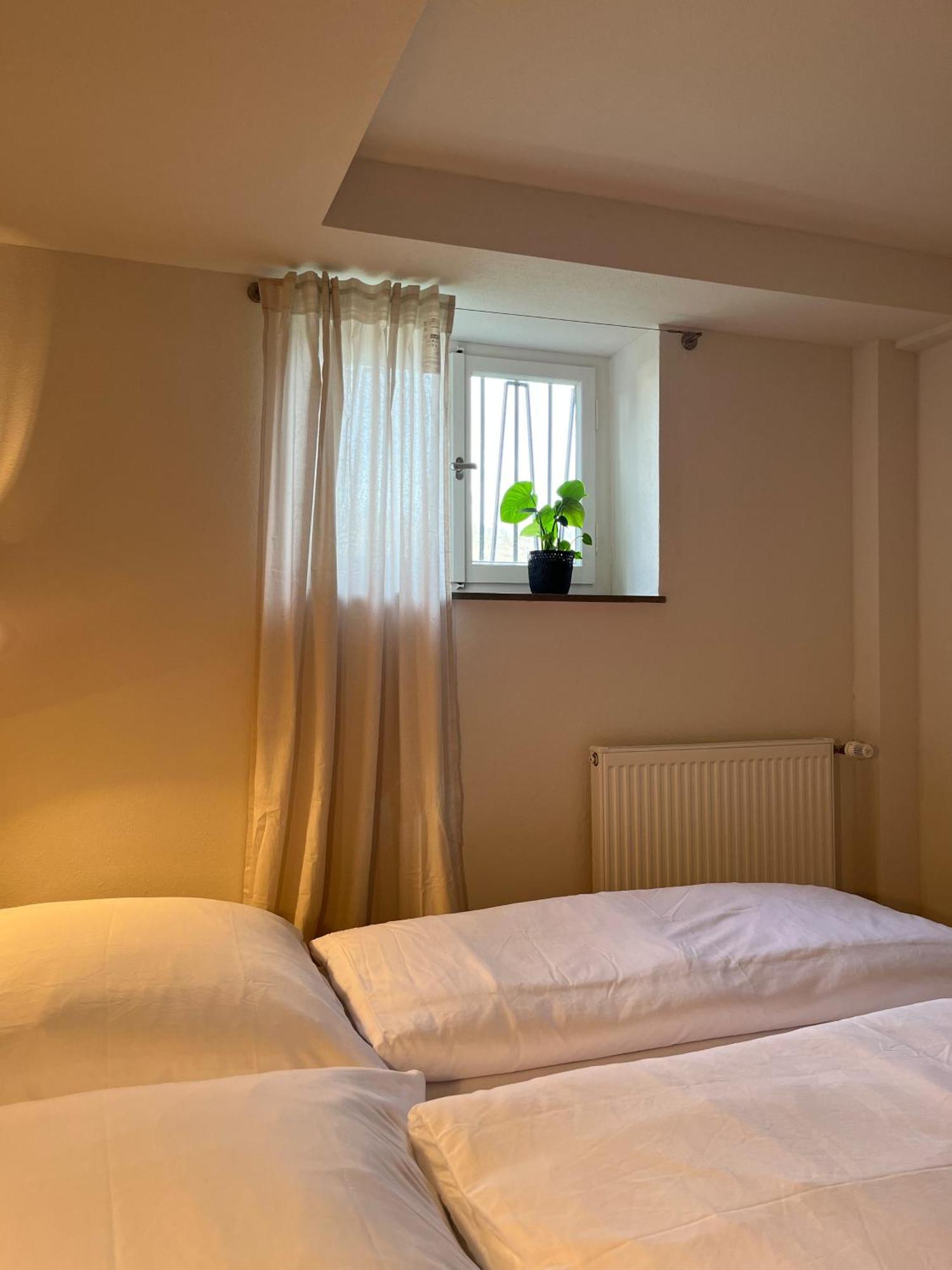 Kolberg Studio - Moderne Ferienwohnung In Boppard Buitenkant foto